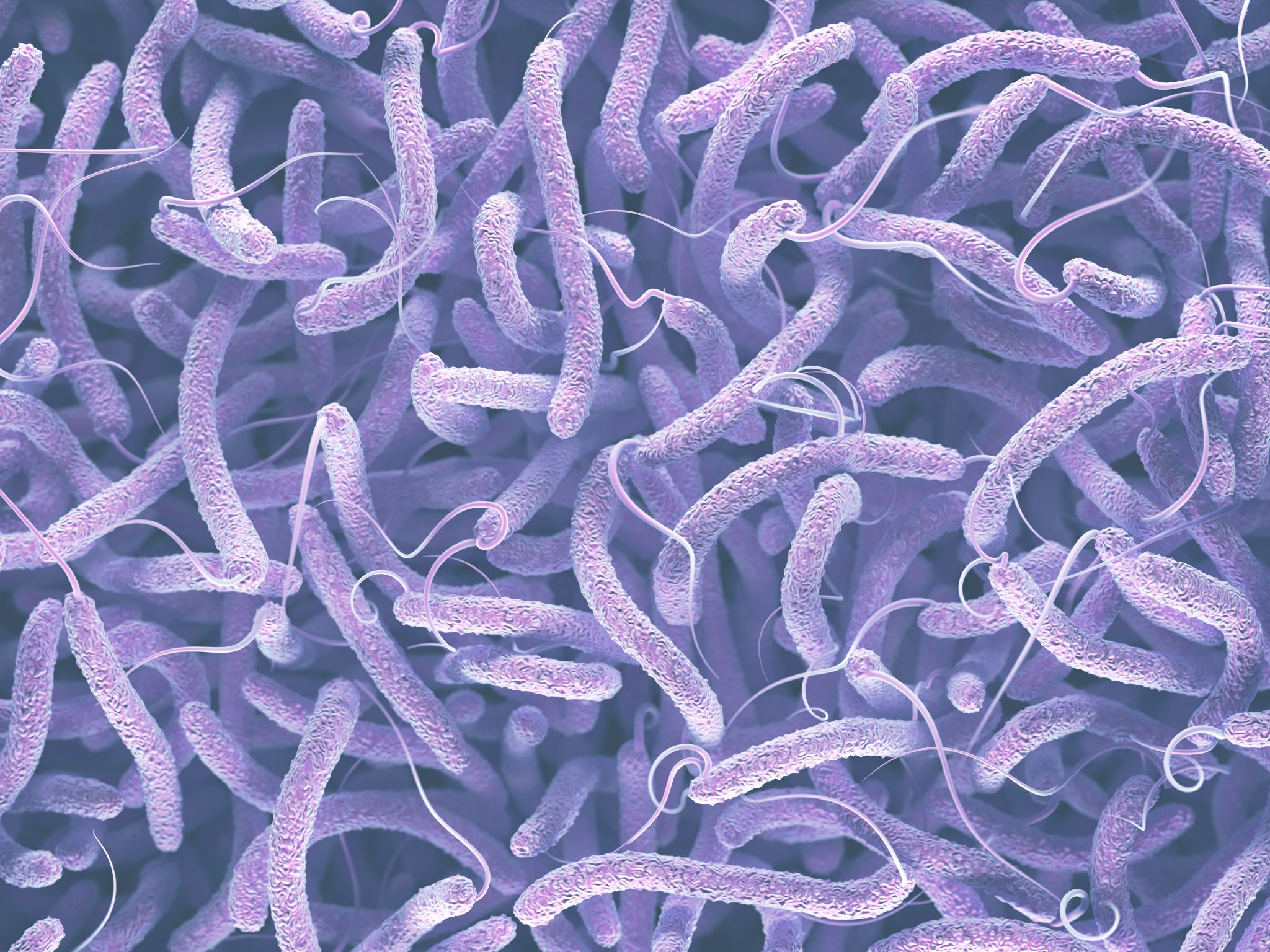 O que é biofilme? Profilática O que é biofilme? Profilática