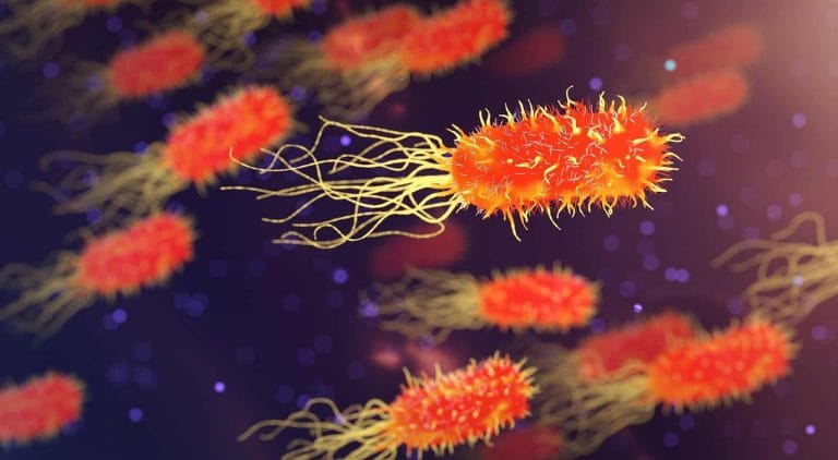 bactérias multirresistentes em UTI