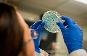 controle de microrganismos